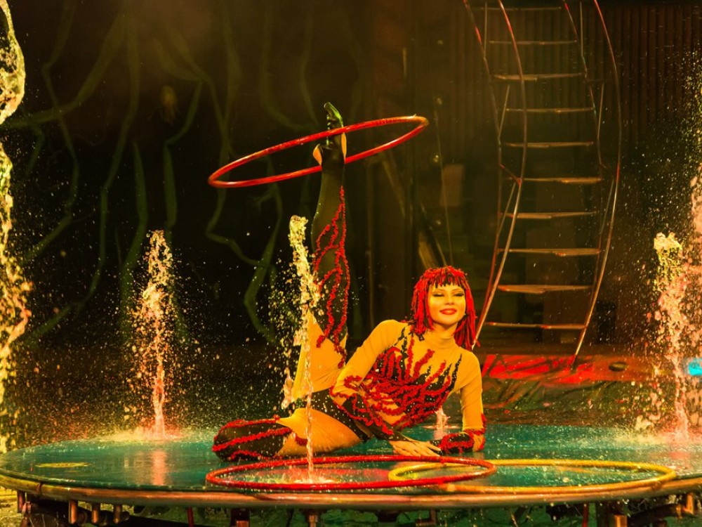 SPLASH - THE WATER CIRCUS HITS SA THIS MONTH - Hypress Live