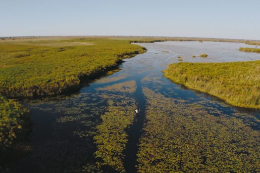 NKASHI, RACE FOR THE OKAVANGO TO PREMIERE ACROSS AFRICA THIS JUNE